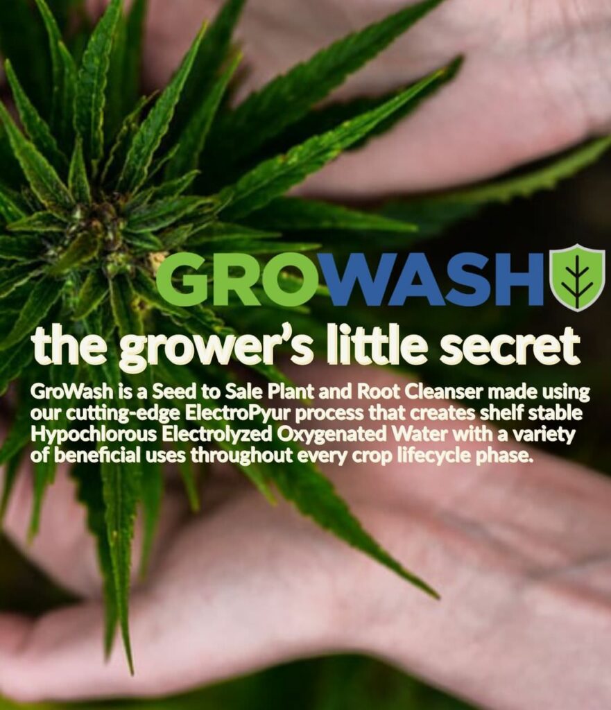 GROWASH - Grower's little secret